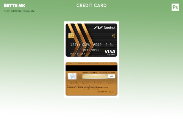 Модерен стил Шведска Норднет АБ шаблон за картичка за потпис на банка за виза